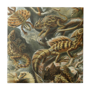 Azulejo De Cerâmica Ilustração velha Lacertilia da forma de Ernst