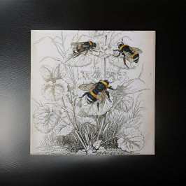 Azulejo De Cerâmica Ilustração Vintage HoneyBee |