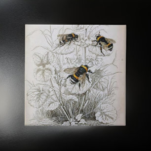 Azulejo De Cerâmica Ilustração Vintage HoneyBee