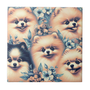 Azulejo De Cerâmica Ilustração Vintage Pomeranian Dog