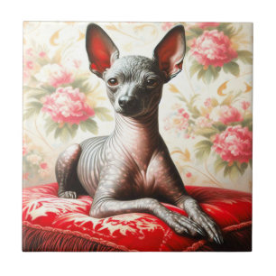 Azulejo De Cerâmica Ilustração Vintage Xoloitzcuintle