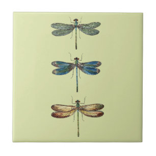 Azulejo De Cerâmica Ilustrações da libélula
