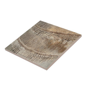 Azulejo De Cerâmica Imagem de Foto de Fechamento de Textura de Tronco
