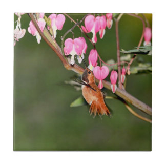 Azulejo De Cerâmica Imagem do colibri e das flores