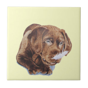 Azulejo De Cerâmica imagem engraçada do cão do filhote de cachorro