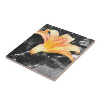 Azulejo De Cerâmica Imagem Lily do Dia Laranja