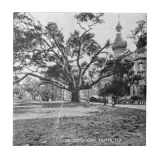 Azulejo De Cerâmica Imagens Vintage de Tampa Florida