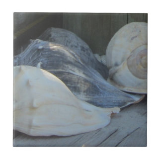 Azulejo De Cerâmica IMG_1498 (3) .jpg