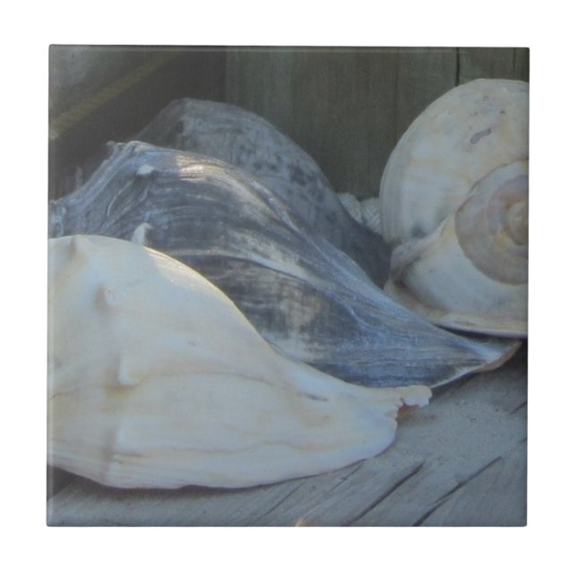 Azulejo De Cerâmica IMG_1498 (3) .jpg (Frente)