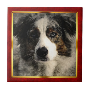 Azulejo De Cerâmica Impressão Abstrata de Cachorro em Moldura Vermelha