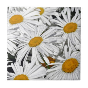 Azulejo De Cerâmica Impressão bonito da flor da margarida branca