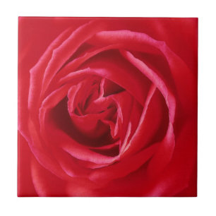 Azulejo De Cerâmica Impressão da rosa vermelha