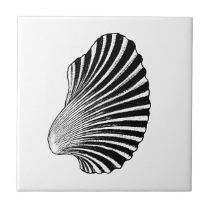 Azulejo De Cerâmica Impressão de Bloco de Shell Scallop, Preto e Branc