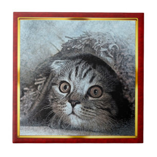 Azulejo De Cerâmica Impressão de Gato Abstrato em Moldura Vermelha e D