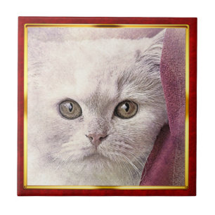 Azulejo De Cerâmica Impressão de Gato Abstrato em Moldura Vermelha e D