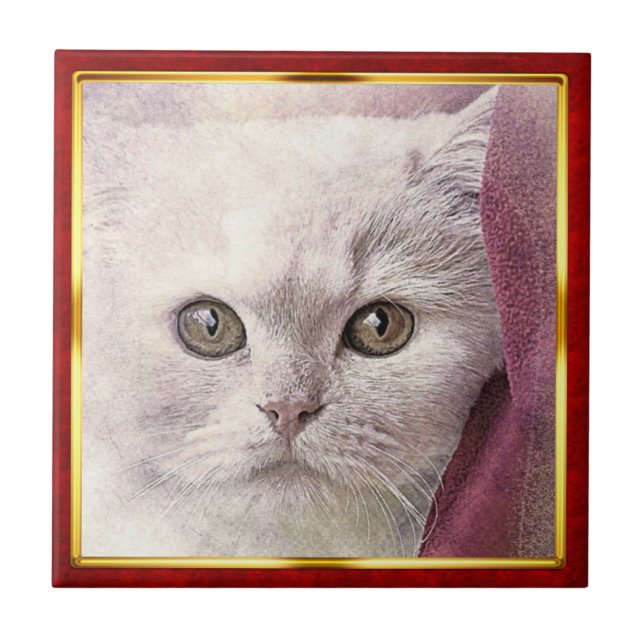 Azulejo De Cerâmica Impressão de Gato Abstrato em Moldura Vermelha e D (Frente)