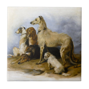 Azulejo De Cerâmica Impressão de Raças de Cães Vintage