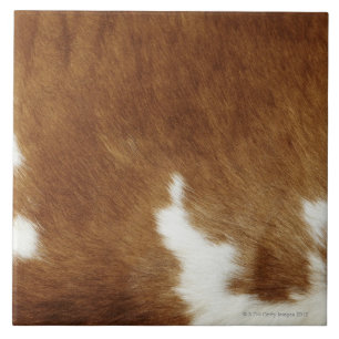 Azulejo De Cerâmica Impressão do couro de Brown