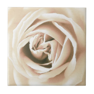 Azulejo De Cerâmica Impressão do rosa branco