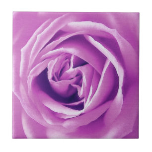 Azulejo De Cerâmica Impressão do rosa da lavanda