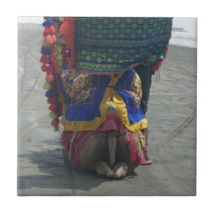 Azulejo De Cerâmica Impressão/Gráfico Whimsical Camel Art