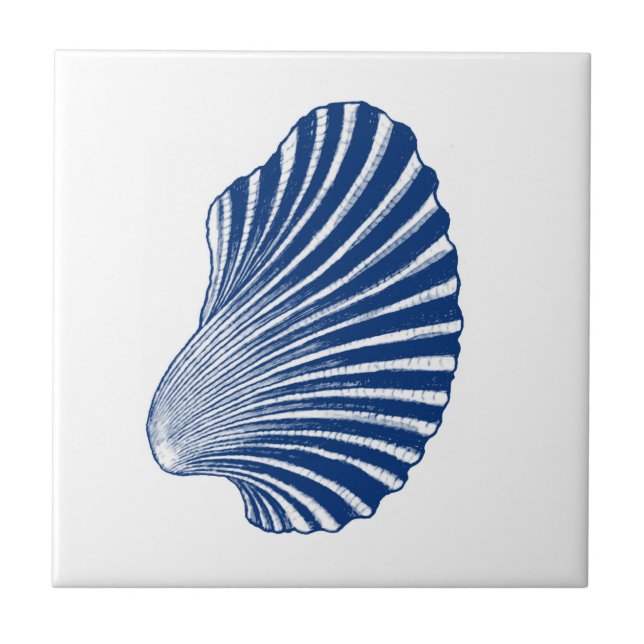 Azulejo De Cerâmica Impressão, Indigo e Branco da Shell Scallop (Frente)
