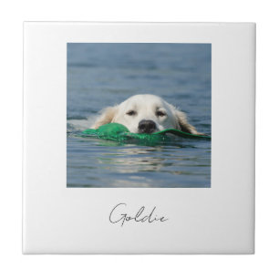 Azulejo De Cerâmica Impressão personalizada foto de cachorro em cerâmi