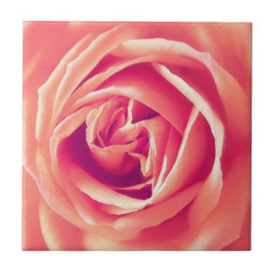 Azulejo De Cerâmica Impressão rosa de coral