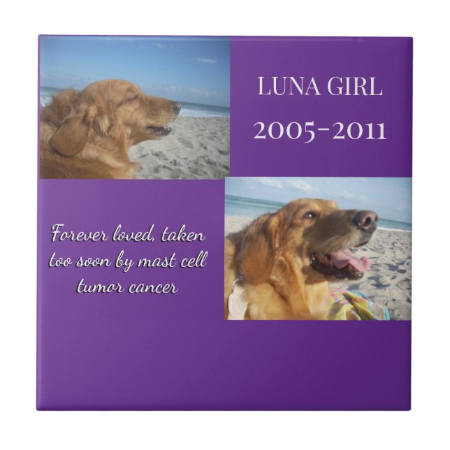 Azulejo De Cerâmica In Memory, Love Remains (Frente)