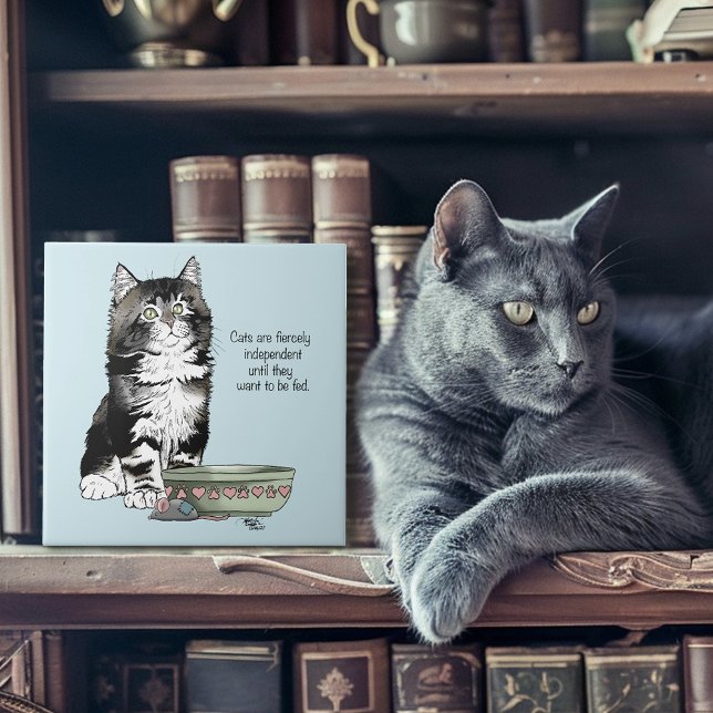 Azulejo De Cerâmica Independente Kitten Bowl Engraçado (Criador carregado)