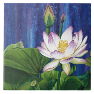 Azulejo De Cerâmica indeterminado