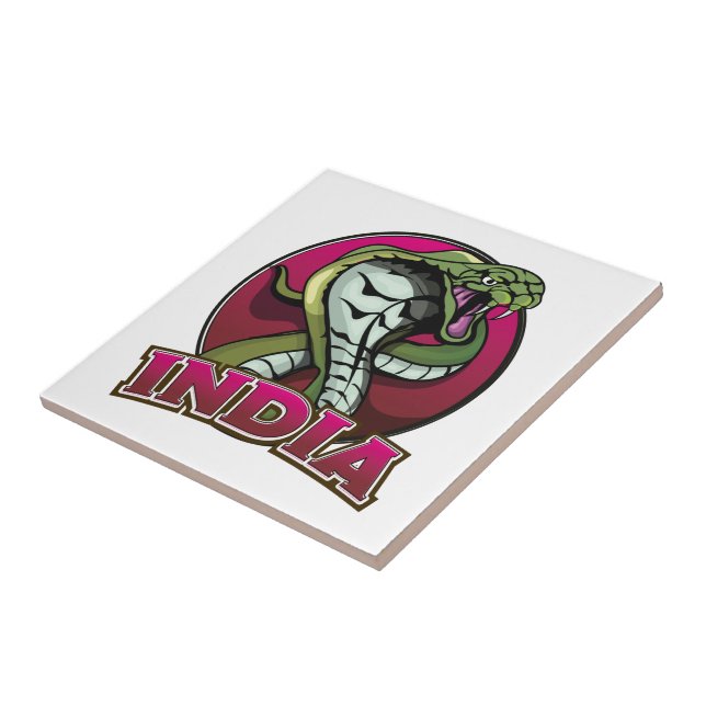 Azulejo De Cerâmica Índia (Lateral)