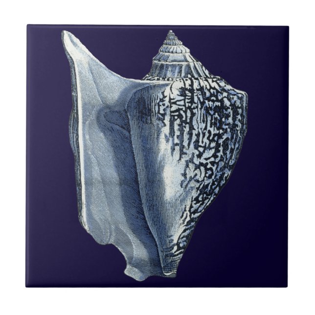 Azulejo De Cerâmica Indigo Shells I (Frente)