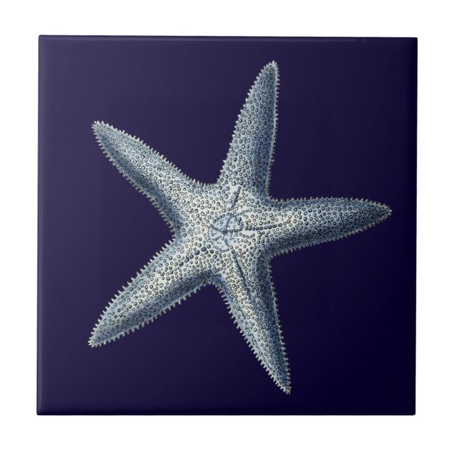 Azulejo De Cerâmica Indigo Shells IV (Frente)