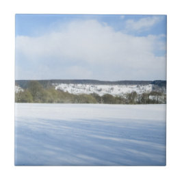 Azulejo De Cerâmica Inglês do Inverno - Cerâmica Personalizada