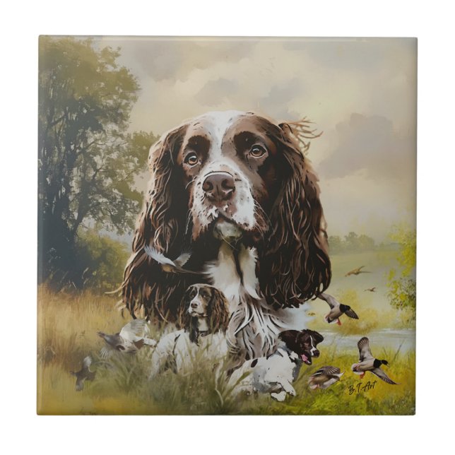 Azulejo De Cerâmica Inglês Springer Spaniel (Frente)