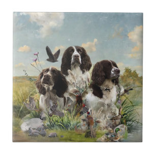 Azulejo De Cerâmica Inglês Springer Spaniels, Arte