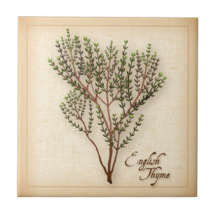 Azulejo De Cerâmica Inglês Thyme Herb
