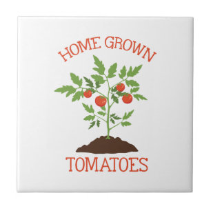 Azulejo De Cerâmica Início