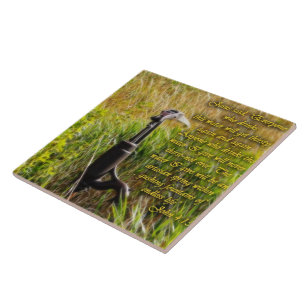 Azulejo De Cerâmica Inspiração John 4 da Água Viva