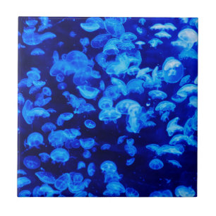 Azulejo De Cerâmica Inundação de medusas