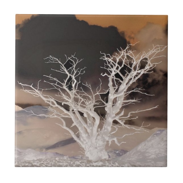 AZULEJO DE CERÂMICA  INVERNO DE MONTANHA (Frente)