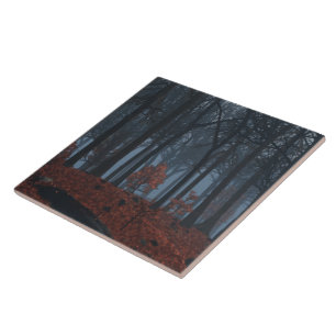 Azulejo De Cerâmica Inverno Deixa Azulejo/Trivet Decorativo