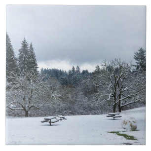 Azulejo De Cerâmica Inverno no parque, Wilsonville, OR
