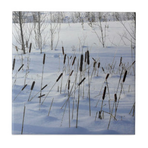 Azulejo De Cerâmica Inverno no Quebec, Canadá