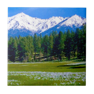 Azulejo De Cerâmica Íris Fields e as montanhas do Corno de Elk!