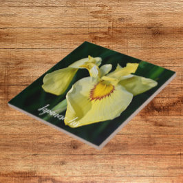 Azulejo De Cerâmica Iris Floral Amarelo Japonês