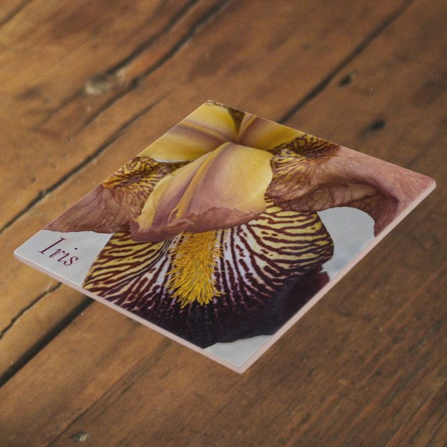 Azulejo De Cerâmica Íris Floral Sem Barba Amarela e Violeta (In Situ)