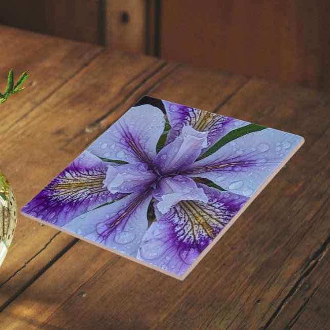 Azulejo De Cerâmica Íris Floral Sem Barba Roxa (In Situ)
