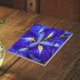 Azulejo De Cerâmica Íris Japonesa Roxa Floral